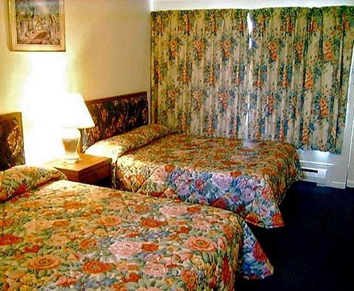 Arkona Motel Niagara Falls Rom bilde